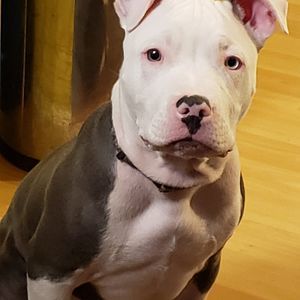 Meet your Posher, June